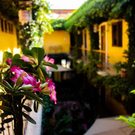 Hotel Dainzu Oaxaca Eksteriør billede