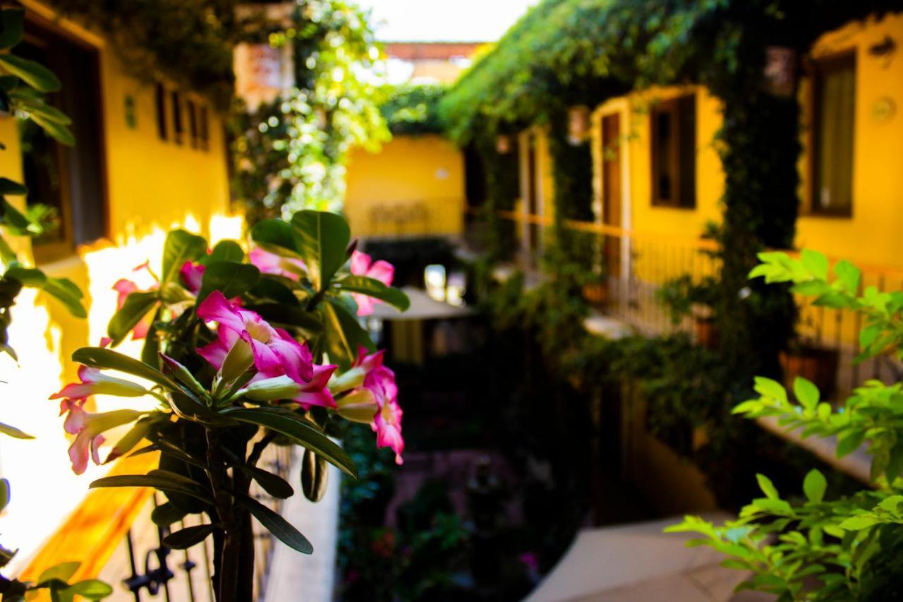Hotel Dainzu Oaxaca Eksteriør billede